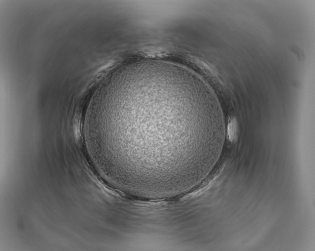 X0000110951444200906261311