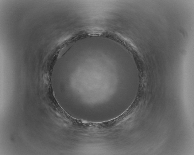 X0000110951445200906261311