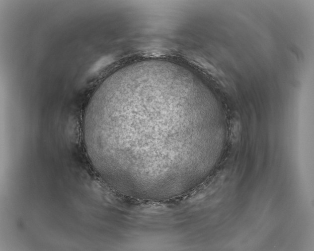 X0000110951446200906261311