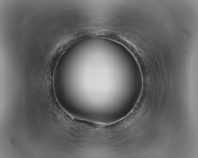 X0000110951447200906261311