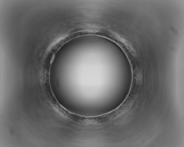 X0000110951448200906261311