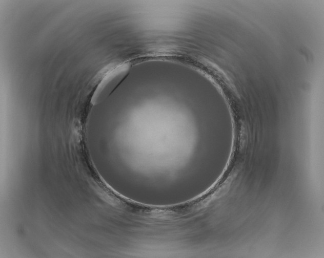 X0000110951449200906261311