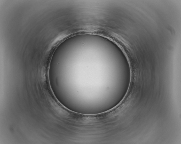 X0000110951451200906261311