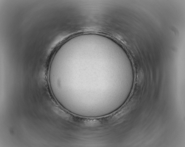 X0000110951454200906261311