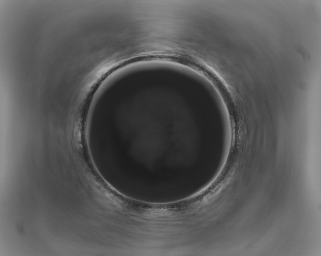 X0000110951455200906261311