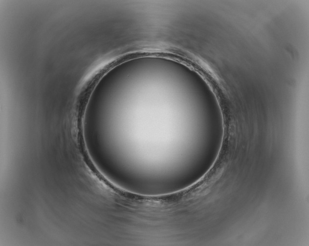 X0000110951456200906261311