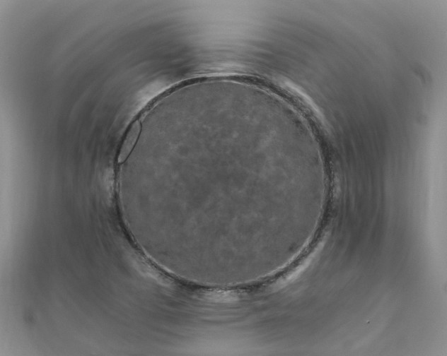 X0000110951457200906261311