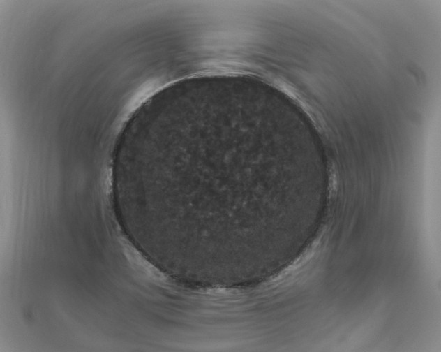 X0000110951459200906261311