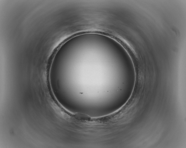 X0000110951460200906261311