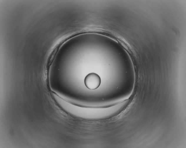 X0000110951461200906261311