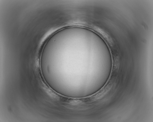 X0000110951462200906261311
