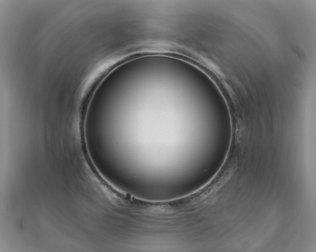 X0000110951464200906261311
