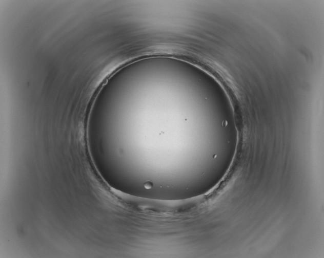 X0000110951465200906261311