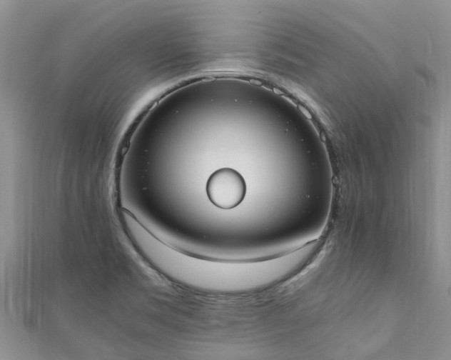 X0000110951469200906261311