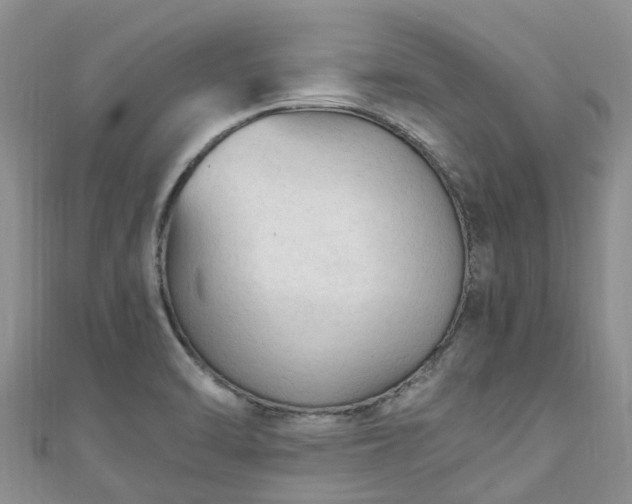 X0000110951470200906261311