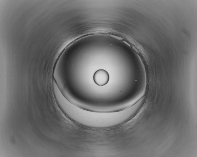 X0000110951473200906261311