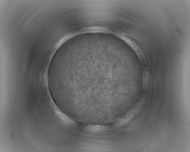 X0000110951474200906261311