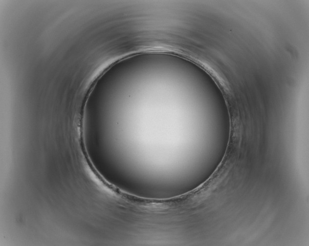 X0000110951476200906261311