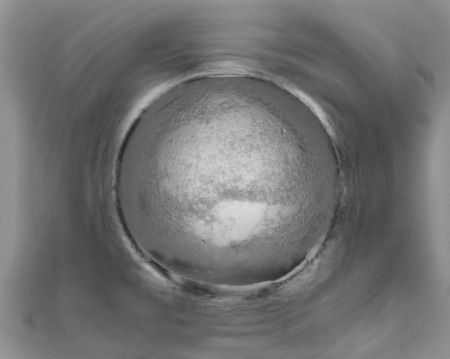 X0000110951477200906261311