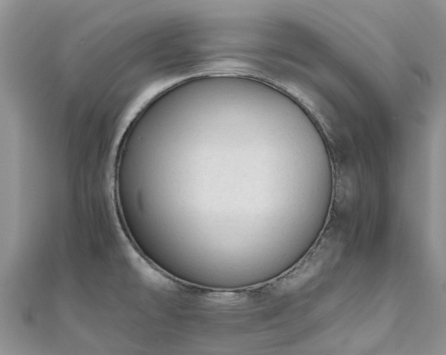 X0000110951478200906261311
