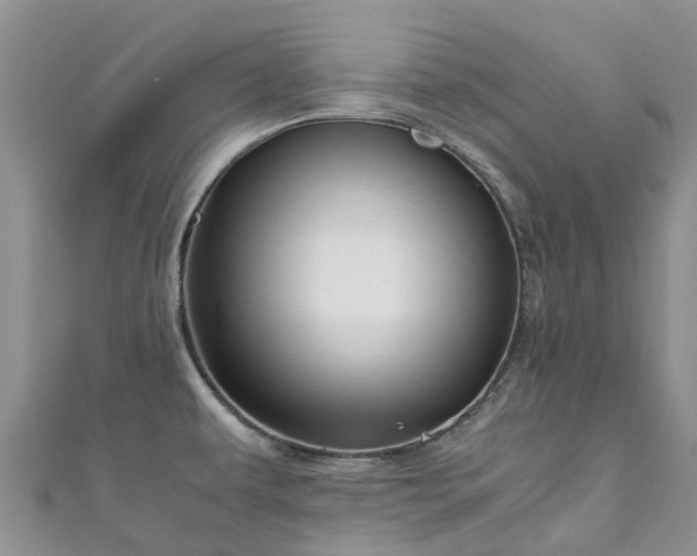 X0000110951479200906261311