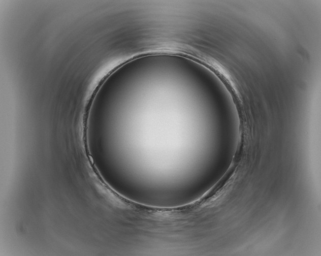 X0000110951480200906261311