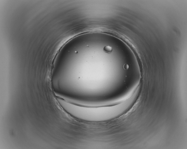 X0000110951481200906261311