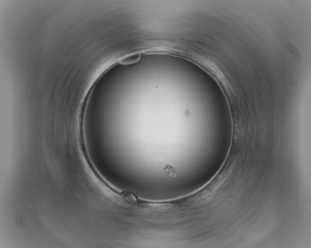 X0000110951483200906261311