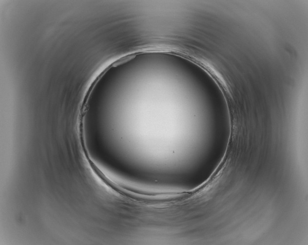 X0000110951484200906261311