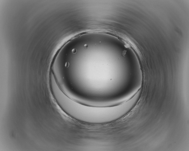 X0000110951485200906261311