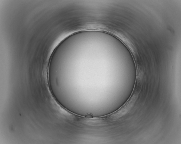 X0000110951486200906261311