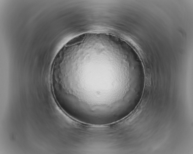 X0000110951487200906261311