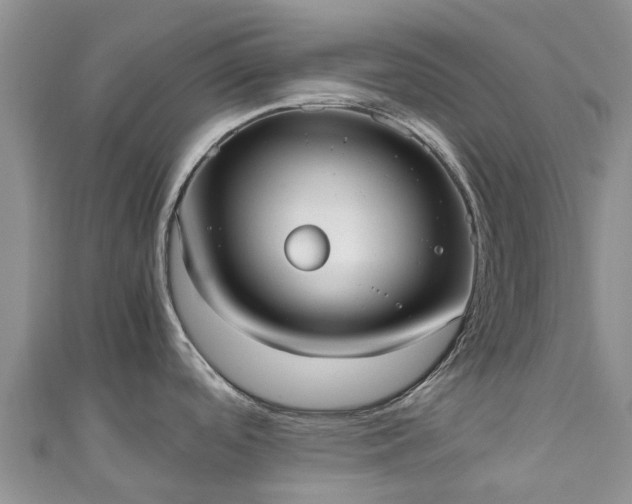 X0000110951488200906261311