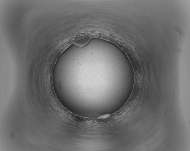 X0000110951489200906261310