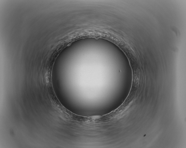 X0000110951490200906261310