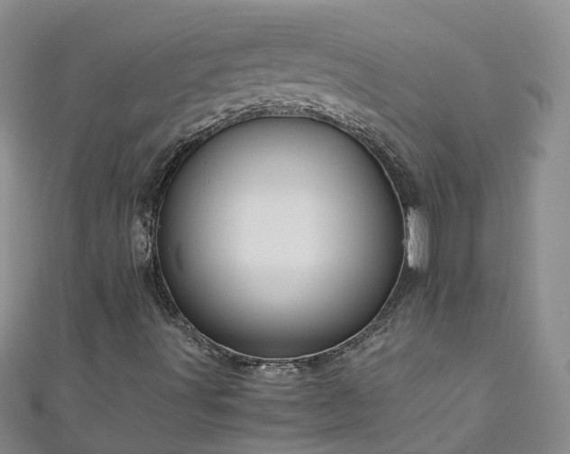 X0000110951491200906261310