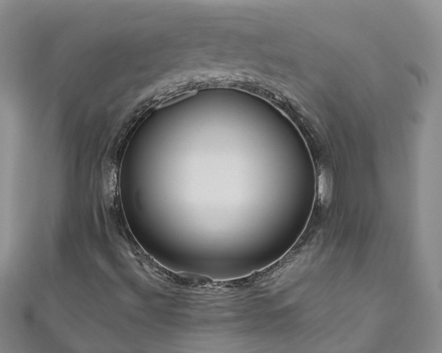 X0000110951492200906261310