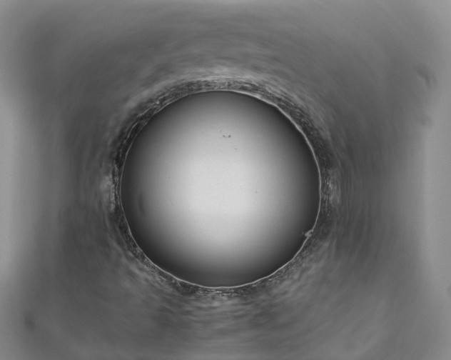 X0000110951493200906261310
