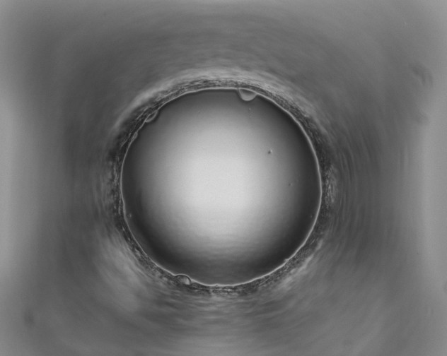 X0000110951494200906261310