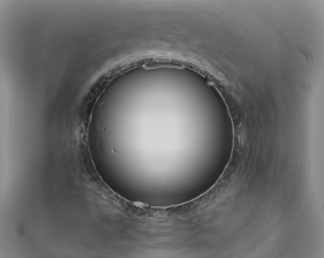 X0000110951495200906261310