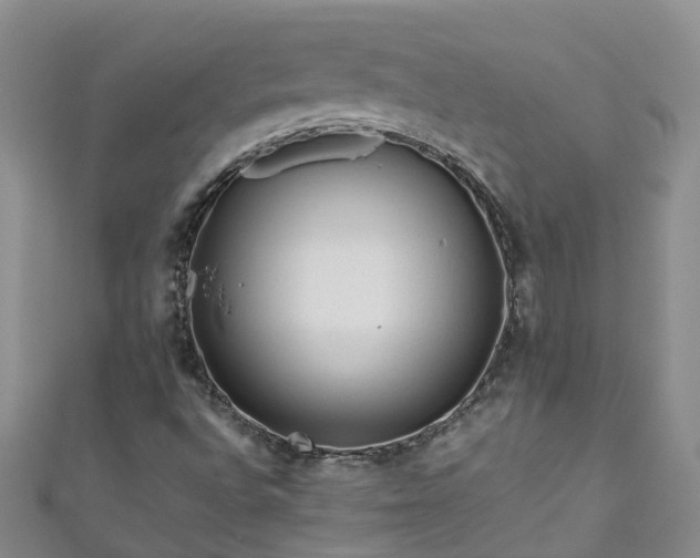 X0000110951496200906261310