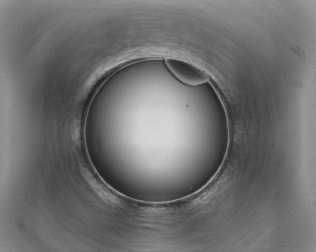 X0000110951499200906261310
