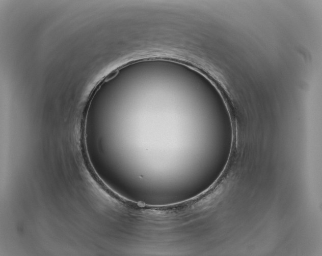 X0000110951500200906261310