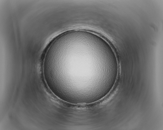 X0000110951501200906261310