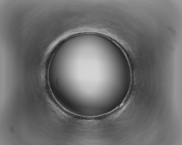 X0000110951502200906261310