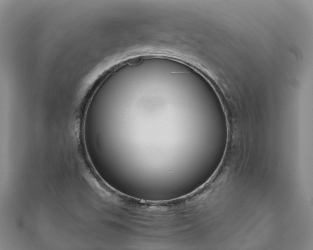 X0000110951503200906261310