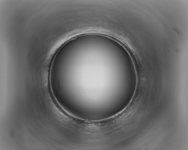 X0000110951504200906261310
