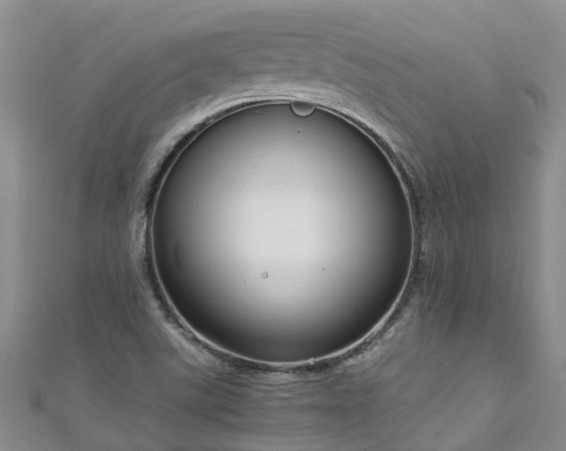 X0000110951507200906261310