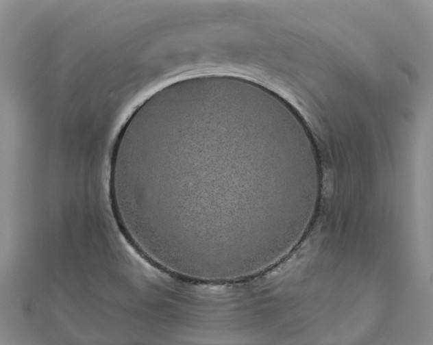 X0000110951508200906261310