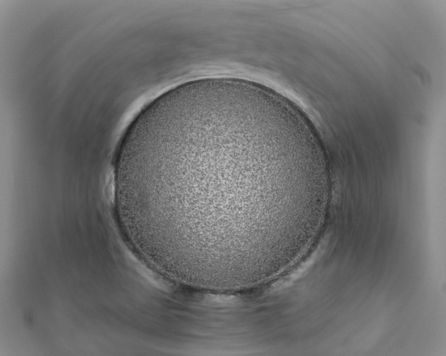 X0000110951509200906261310